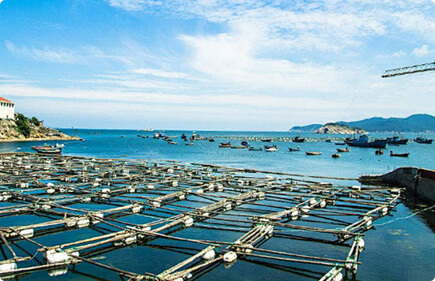Aquaculture (1)